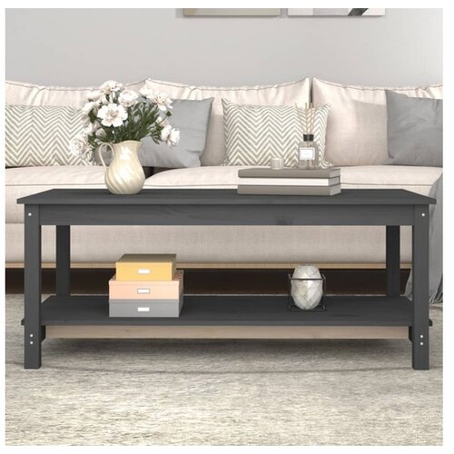  Stolić za kavu sivi 110 x 55 x 45 cm od masivne borovine Cene