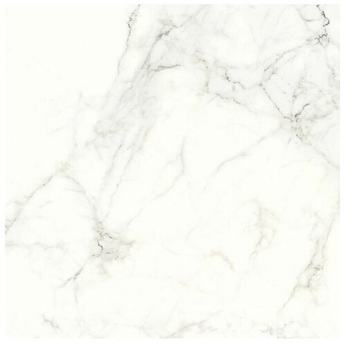 Cersanit Talne ploščice (Keramika, 59,8 x 59,8 cm) Cene