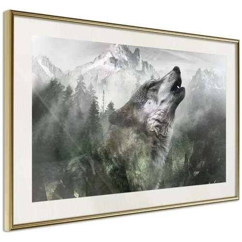  Poster - Wolf's Territory 60x40