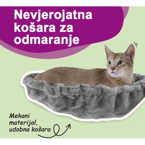  Penjalica za mačke sa stupovima za grebanje svjetlosiva 60 cm Slike