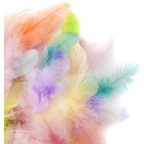  Dekorativno perje 5 do 12 cm - 5 g - Pastel (perje za dekoraciju) Cijene