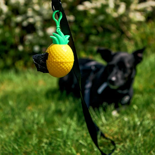 Sinsay dozirnik z vrečkami za pasje iztrebke - rumena