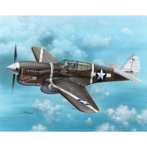Special-Hobby P-40F Warhawk &amp;quot;Guadalcanal Hawks&amp;quot;, (21287190) Slike