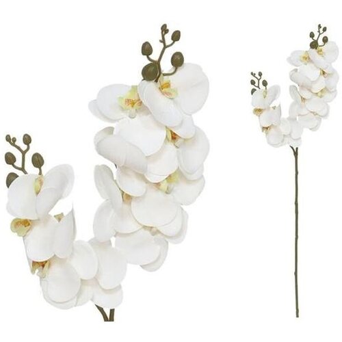  ORHIDEJA X12 REAL TOUCH PVC Cene