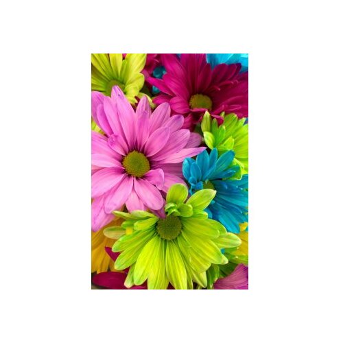 Conceptum Hypnose tepih (100x150) WOOKECE070 Cene