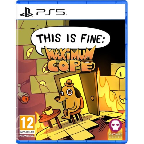  PS5 This is Fine: Maximum Cope Slike
