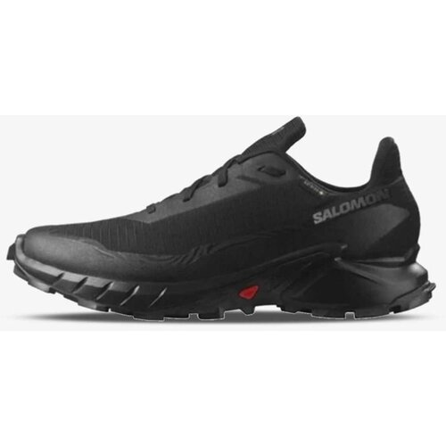 Salomon Cipele Alphacross 5 GTX za muškarce, boja: crna Cijene