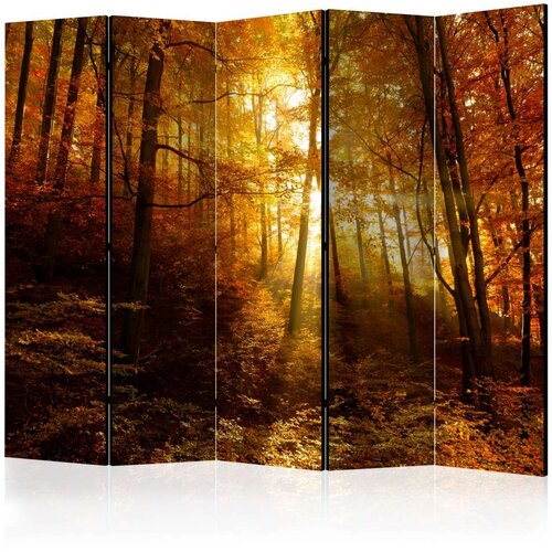  Paravan u 5 dijelova - Autumn Illumination II [Room Dividers] 225x172 Slike