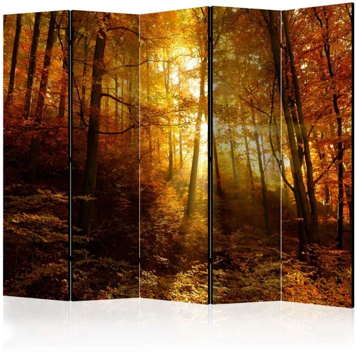  Paravan u 5 dijelova - Autumn Illumination II [Room Dividers] 225x172