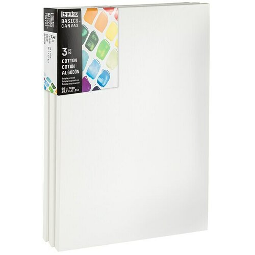 LIQUITEX Basics Slikarsko platno z okvirjem CNV (70 x 50 x 1,8 cm, Bombaž, 3-krat grundirano) Cene