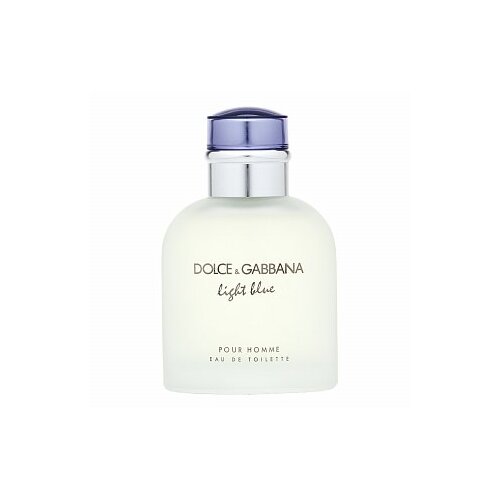 Dolce&gabbana Light Blue Pour Homme toaletna voda 75 ml za muškarce Cijene