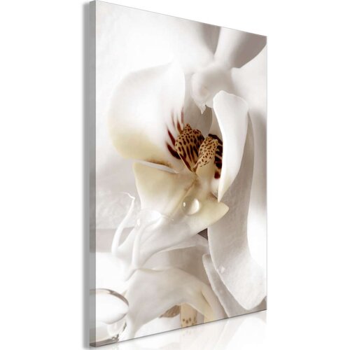  Slika - Drop Of Dreams (1 Part) Vertical 40x60 Slike