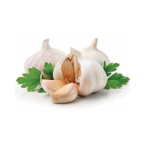 Nepoznato Beli luk 1kg Cene