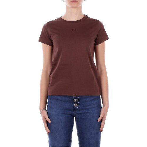 Pinko Majice s kratkimi rokavi 100355A339 Kostanjeva Cene