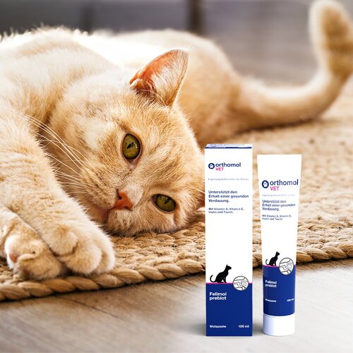 Pro Nutrition Orthomol VET Felimol Prebiot Tube 100ml Cene