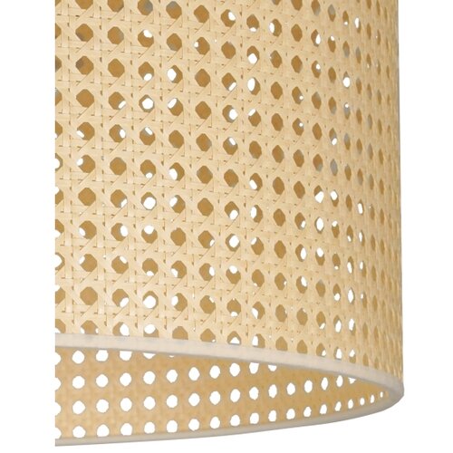  Duolla - Visilica na sajli ROLLER RATTAN 1xE27/15W/230V, prečnik 45 cm, bež Slike