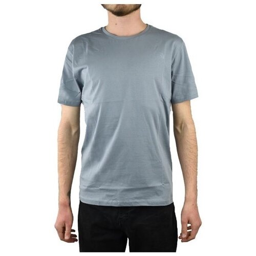 The North Face Simple Dome Tee Siva Slike