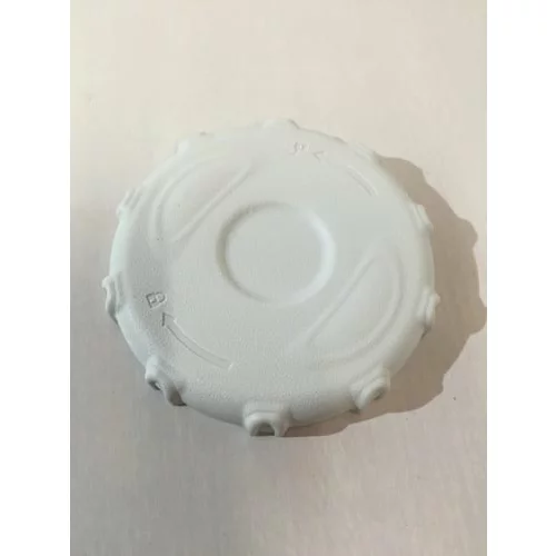 Intex Rezervni deli za Whirlpool Pure-Spa Bubble & Jet - osmerokotnik - (14) pokrov des ohišje za vložek filtra