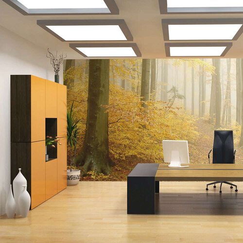  Tapeta - forest - autumn 300x231 Slike