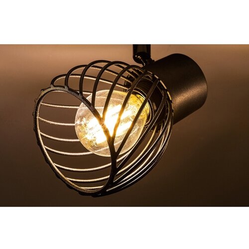  Aberama, plafonska lampa, crna plastična lampa, E14 3x10W, IP20 Slike