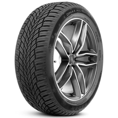 Radar 205/55R16 94W XL DIMAX ALLSEASON MS-CELOLETNA Slike