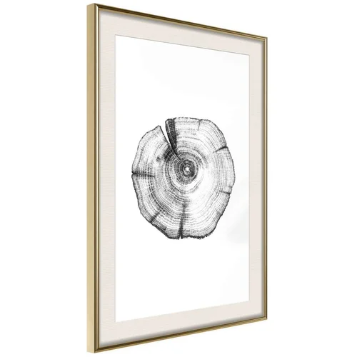  Poster - Tree Rings 40x60