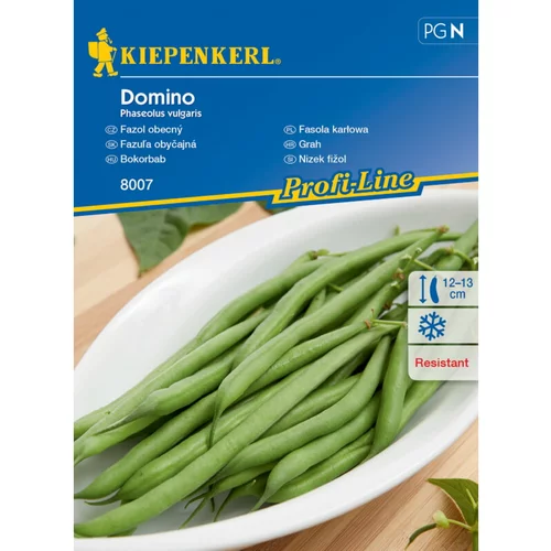 KIEPENKERL Nizek fižol Domino Kiepenkerl (Phaseolus vulgaris)