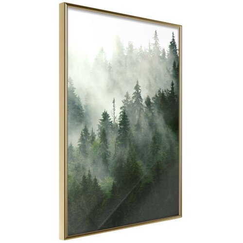  Poster - Steaming Forest 40x60 Cijene
