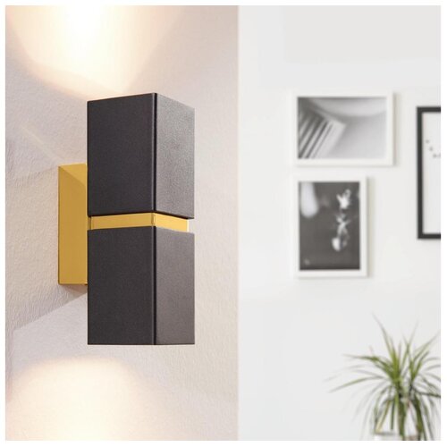 Eglo Passa zidna/2, led, gu10, 2x3,3w, zlatna/crna Cene