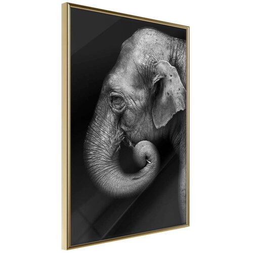  Poster - Wisdom 30x45 Cijene