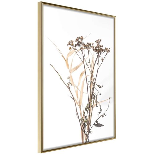 Poster - Diary of a Herbalist 30x45 Cijene