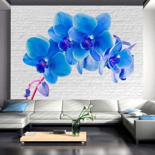  Tapeta - Blue excitation 200x140 Slike