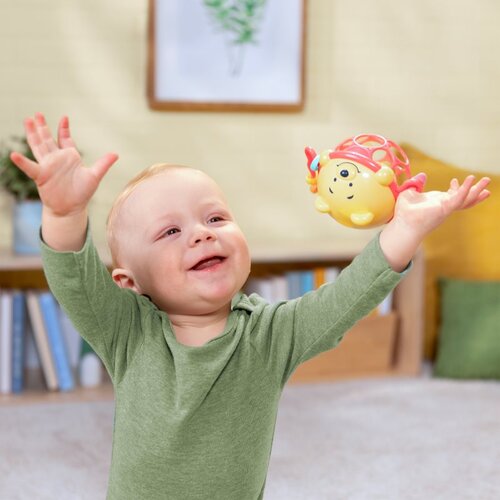 Kids II Winnie The Pooh Oball zvečka Cijene