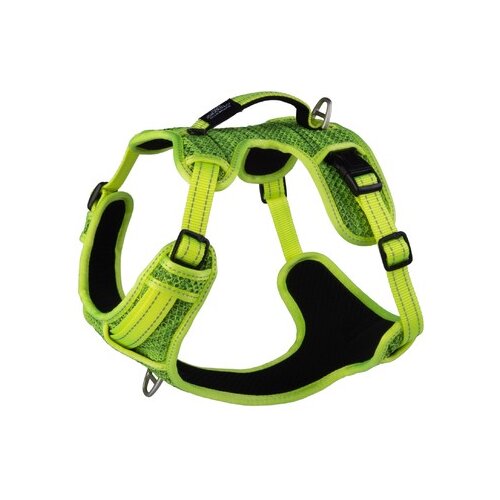 Rogz explore fanbelt am za pse l, zeleni Slike