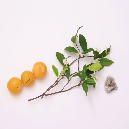 Mauboussin parfumska voda 100 ml za ženske Cene