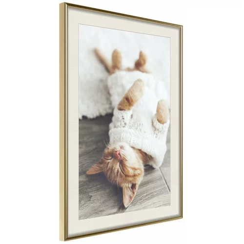 Poster - Kitten Life 40x60