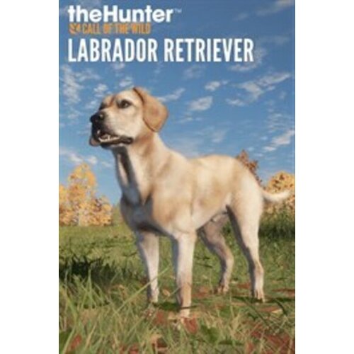 Steam thehunter call of the wild labrador retriever (dlc) (pc) key global Cene