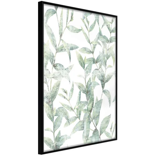  Poster - Sheer Batiste 40x60