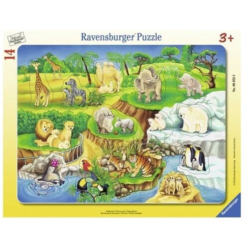 Ravensburger puzzle - Životinje u zoo vrtu RA06052 Slike