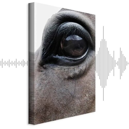  Slika - Honest Eyes (1 Part) Vertical 60x90 Akustična Cijene