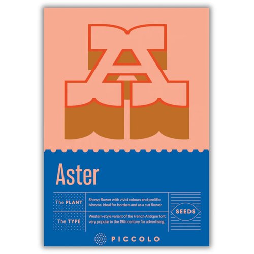 Piccolo Seeds A - Aster - poletna astra - 1 pkt. Cene