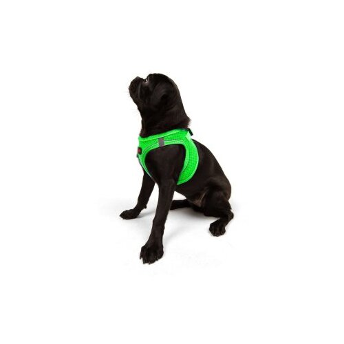 Paws &amp;amp; Whiskers am za pse air-mesh, zeleni Slike