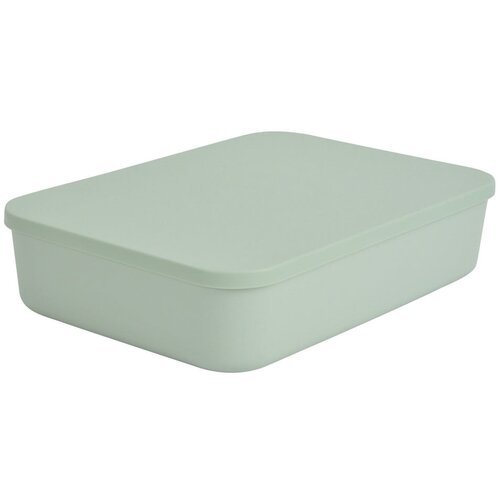 Homéa Svetlo zelena plastična škatla za shranjevanje s pokrovom 35,5x25,5x8 cm – Cene