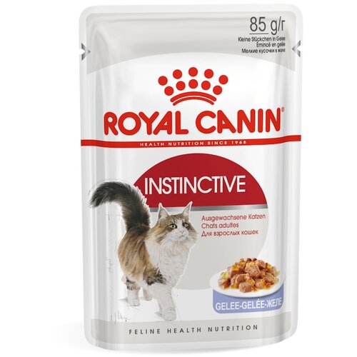 Royal Canin Sensible - Kot dopolnilo: 12 x 85 g Instinctive v želeju Slike
