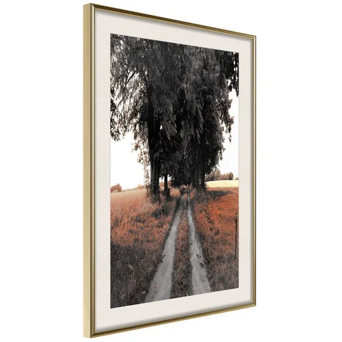  Poster - Field Path 20x30