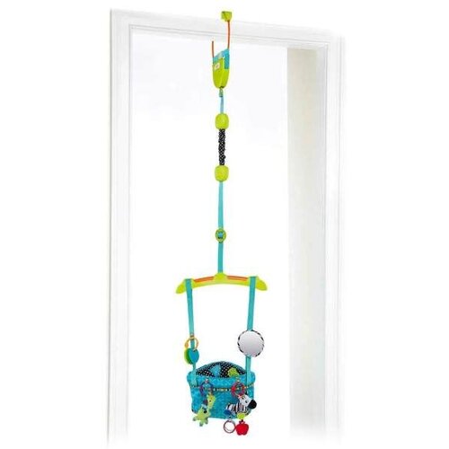 Kids II BABY EINSTEIN BOUNCE 'N SPRING DELUXE DOOR JUMPER 10410 Cene
