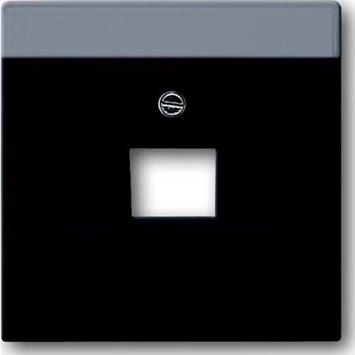 Busch-Jaeger Centralni disk sw mt 1803-885, (20891114) Cene