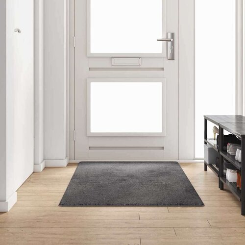 vidaXL Preproga za tek Siva 100 x 200 cm 100% polipropilenski tuf Cene