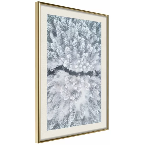  Poster - Winter Forest From a Bird's Eye View 30x45