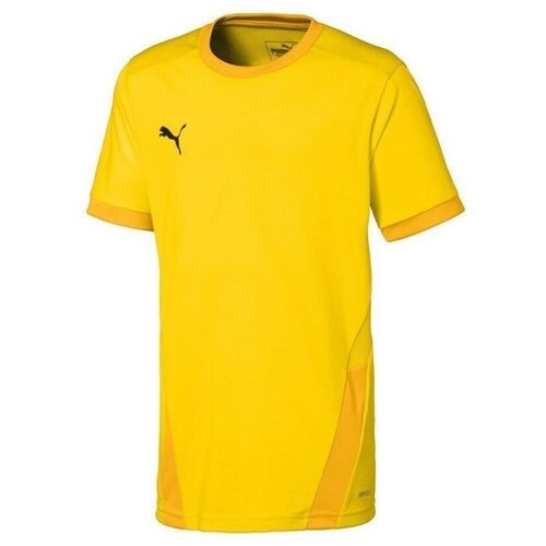 Puma Teamgoal 23 Jersey žuta Cijene